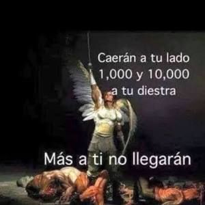 Meet your Posher, Bailey